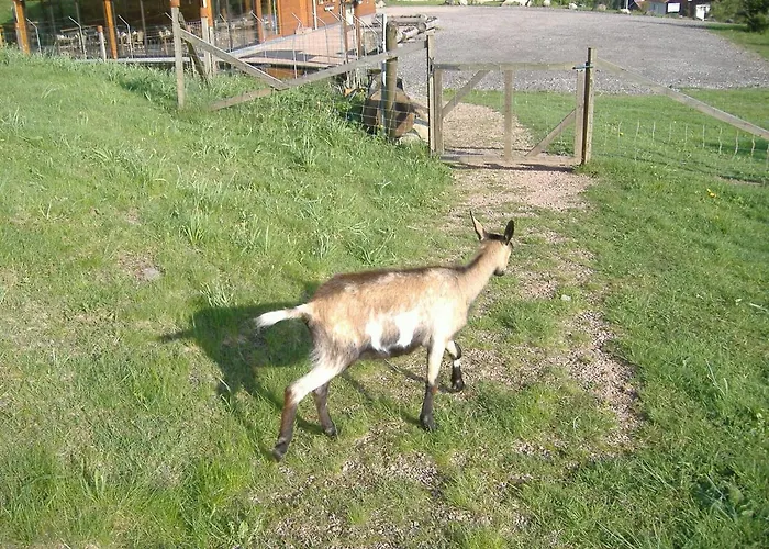 Les Gites De La Bergerie